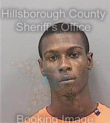 Lewis Deonta - Hillsborough County, FL 
