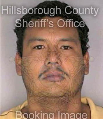 Zavala Jaime - Hillsborough County, FL 
