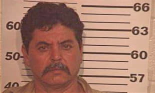 Ramirez Reynaldo - Hidalgo County, TX 