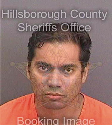 De-Los-Santos Valdemar - Hillsborough County, FL 