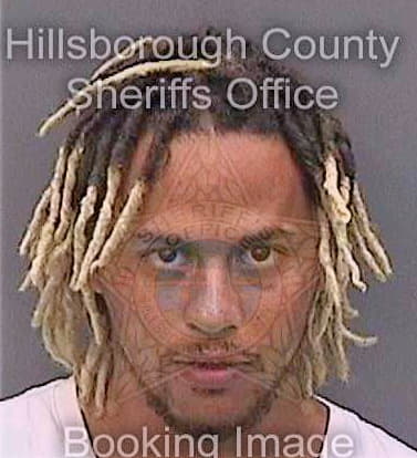 Harwell Christopher - Hillsborough County, FL 