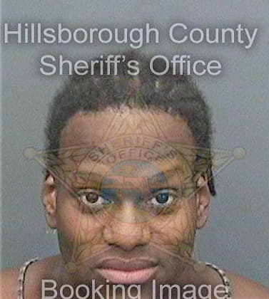 Devlin Corie - Hillsborough County, FL 