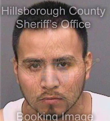 Alvarezalvarez Ildefonso - Hillsborough County, FL 