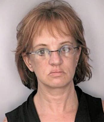 Shapiro Michelle - Hillsborough County, FL 