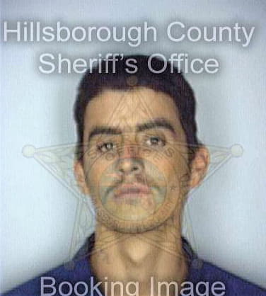 Pantoja Noe - Hillsborough County, FL 