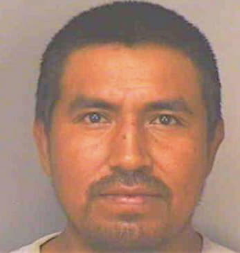 Erasto Diaz - Polk County, FL 