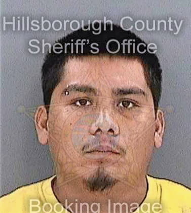 Garcia Pedro - Hillsborough County, FL 