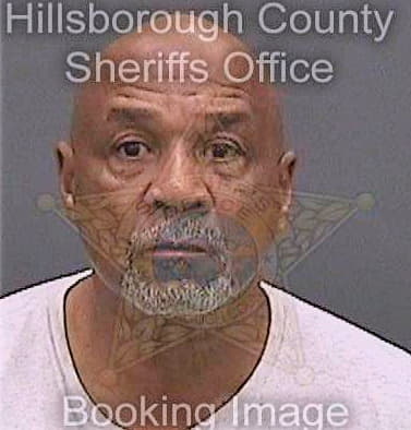 Johnson Theodore - Hillsborough County, FL 