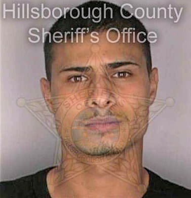 Perez Gabriel - Hillsborough County, FL 