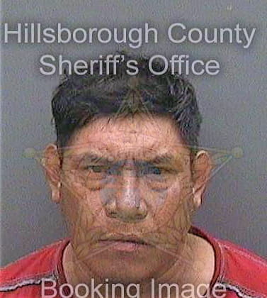 Hernandezcruz Isreal - Hillsborough County, FL 