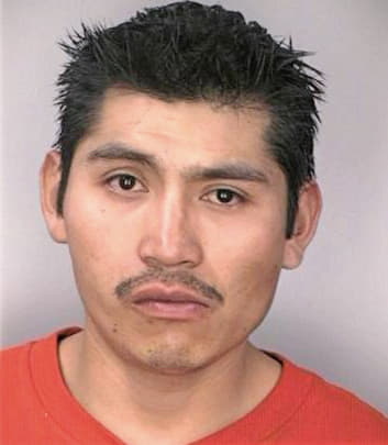 Pascualhernandez Jose - Hillsborough County, FL 