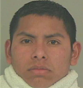 Castellanos Miguel - Collin County, TX 