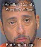 Fernandez Jesus - Pinellas County, FL 