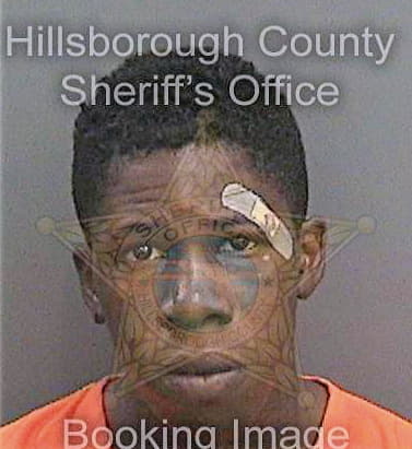 Thelus Kervins - Hillsborough County, FL 
