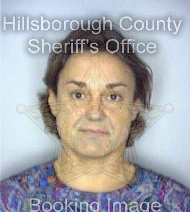 Villemaire Michele - Hillsborough County, FL 
