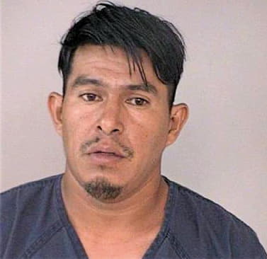 Perez Wilmer - FortBend County, TX 