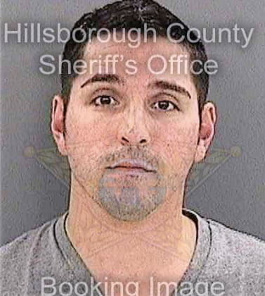 Ayala Anthony - Hillsborough County, FL 