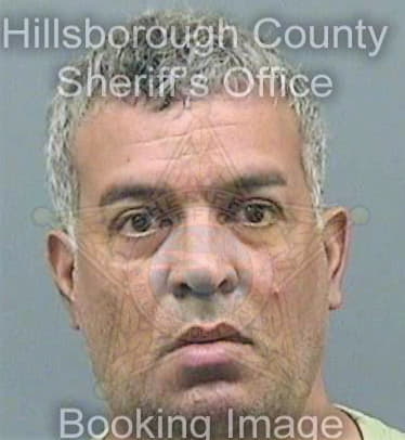 Martinez Javier - Hillsborough County, FL 