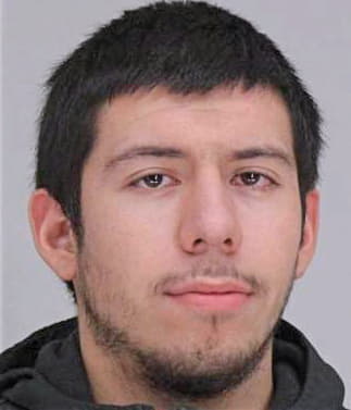 Leijamontenegro Joel - Dallas County, TX 