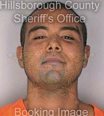 Martinez Juan - Hillsborough County, FL 