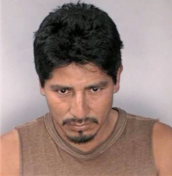 Cruzhernandez Romeo - Hillsborough County, FL 