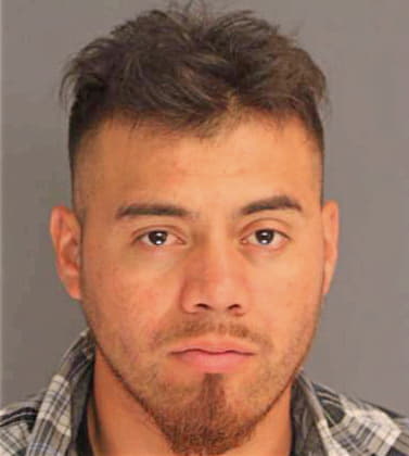 Cruz Wilber - Essex County, NJ 