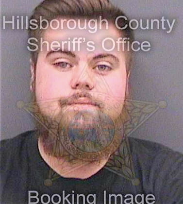 Davis Dylan - Hillsborough County, FL 
