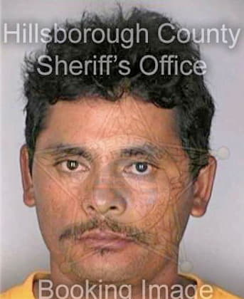 Juarez Luis - Hillsborough County, FL 