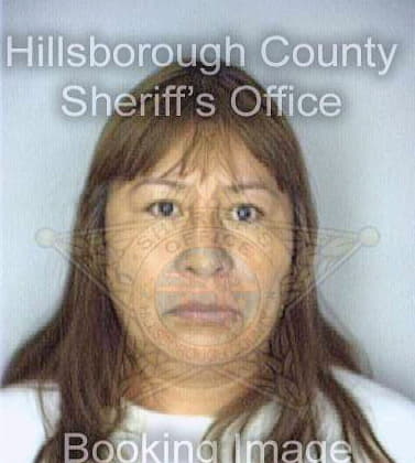 Medicinebear Melody - Hillsborough County, FL 