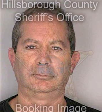 Johannesson Paul - Hillsborough County, FL 