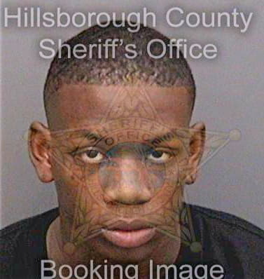 Johnson Andre - Hillsborough County, FL 