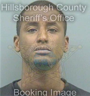 Jackson Anthony - Hillsborough County, FL 