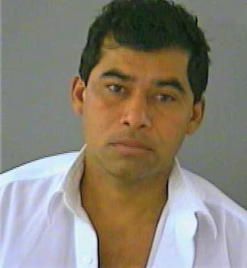 Arriaza Jose - Gwinnett County, GA 