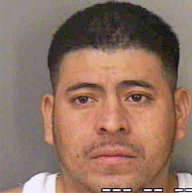Morales Maynor - Polk County, FL 