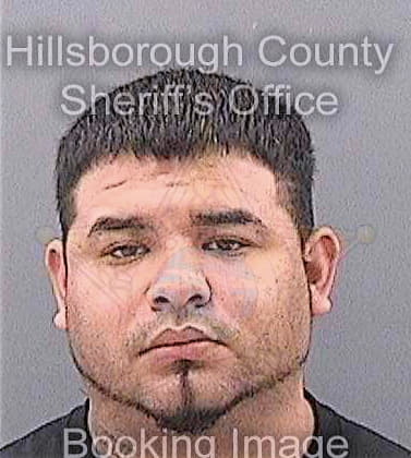 Nolasco Nicolas - Hillsborough County, FL 