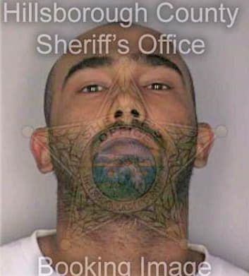 Soto Victor - Hillsborough County, FL 