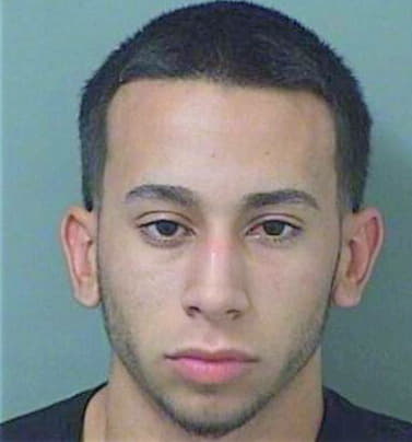 Hernandezgonzalez Eduardo - PalmBeach County, FL 