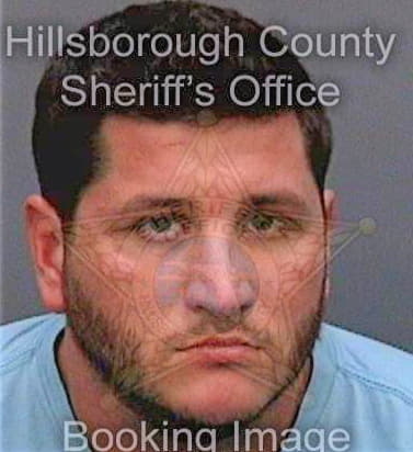 Dollinger John - Hillsborough County, FL 