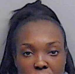 Bryan Kadie - Fulton County, GA 