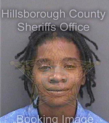 Howard Martika - Hillsborough County, FL 