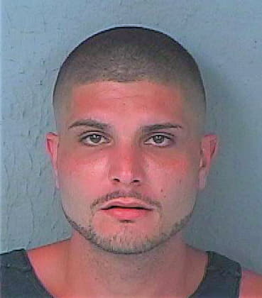Mckinney Shane - Hernando County, FL 