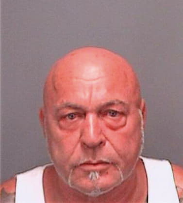 Gohl Theodore - Pinellas County, FL 