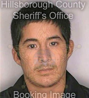 Hinojosagonzalez Alfredo - Hillsborough County, FL 