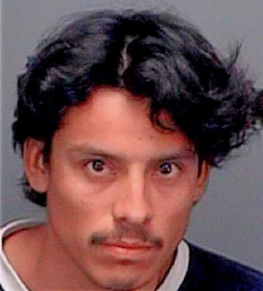 Pineda Carlos - Pinellas County, FL 