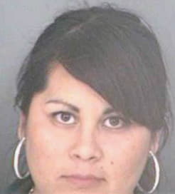 Cruz Cinthya - Hillsborough County, FL 