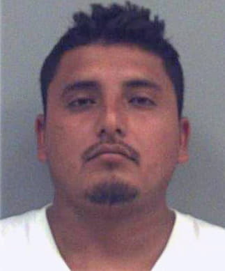 Vazquez-Velasco Miguel - Gwinnett County, GA 