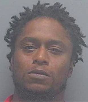 Singletary Raymond - Lee County, FL 
