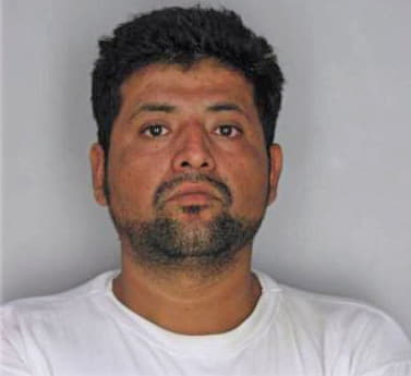 Ayala Ricardo - Hillsborough County, FL 