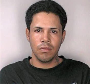 Ortiz Saul - Hillsborough County, FL 
