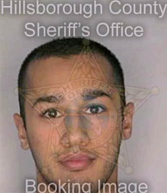 Alzayer Wafi - Hillsborough County, FL 